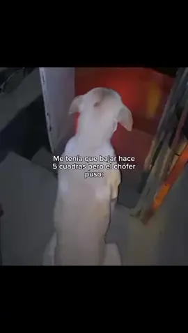 Música 🎧 #fyp #paratiiiiiiiiiiiiiiiiiiiiiiiiiiiiiii #canciones 