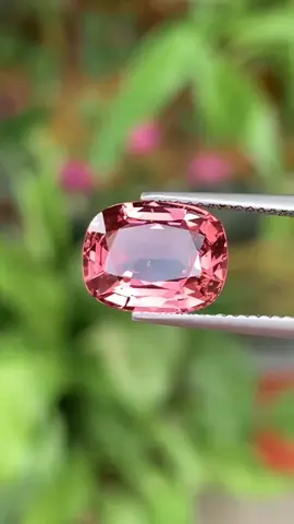 Spinel hồng cam nhạt,tí ti thể bọt,tl 4,35ct .