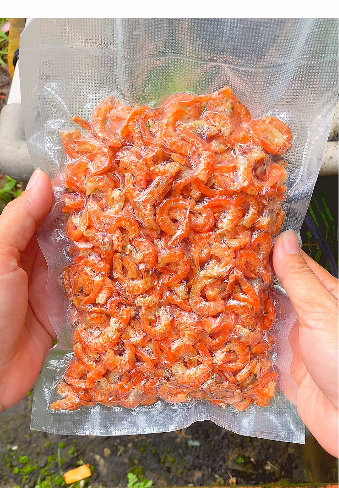 Túi tôm khô 250g có 150k được tặng kèm bịch bánh phồng #vuakholinhdancamau #tomkhongonngot #monngonmoingay #tomkho 