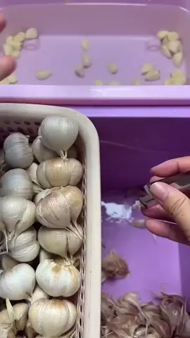 Hum 🥺❤️‍🩹 ‌ ‌ #সাপোট_করবেন_ইনশাআল্লাহ_সাপোর্ট_পাবেন #foryouuuuuuuuuuuuuuuuuuuuuuuuuu #unfrezzmyaccount #foryoupage #viralvideo‍ @TikTok @TikTok Bangladesh 