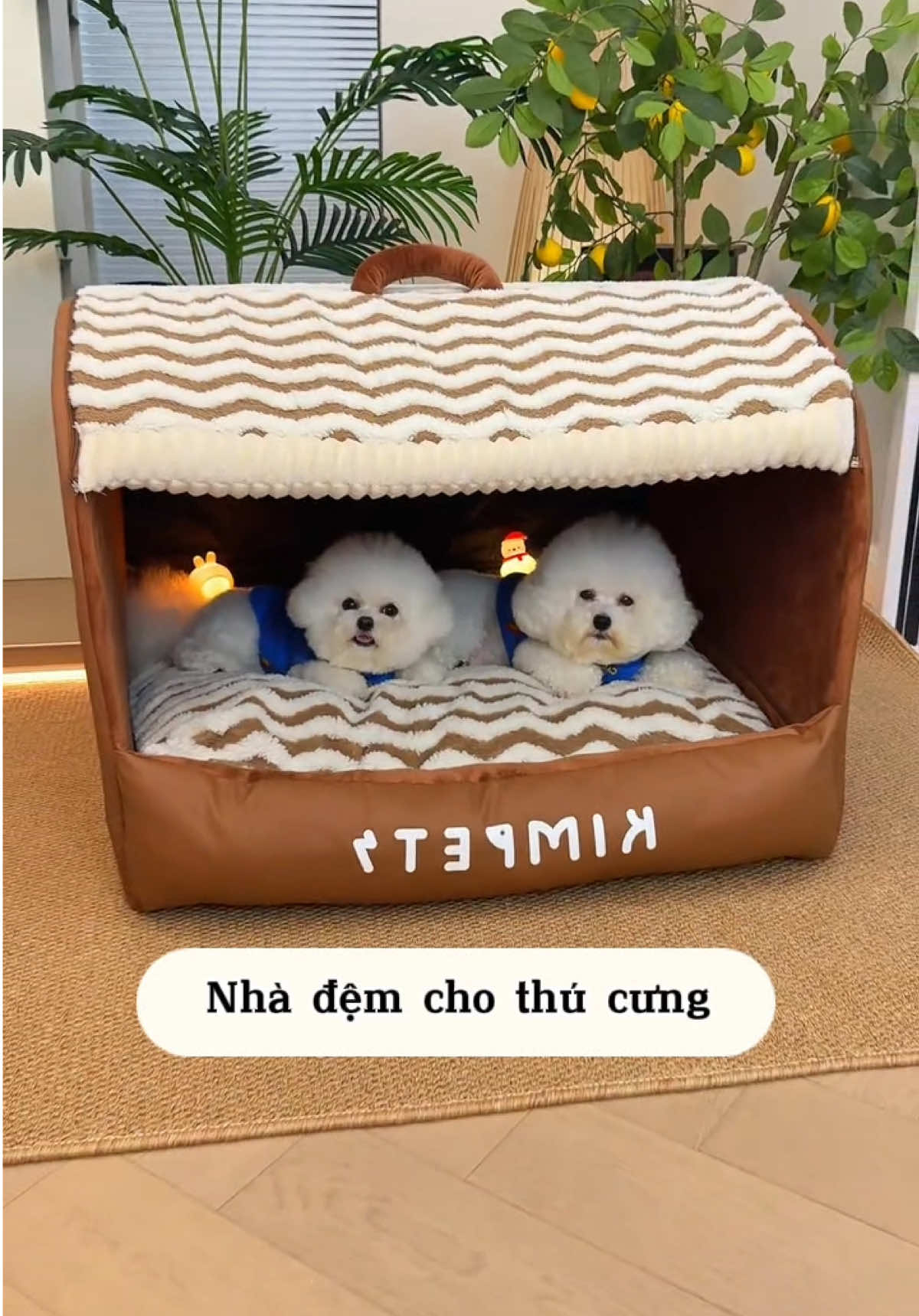 Nhà đệm êm ái cho bé nằm thoải mái 🐶 #nhachothucung #nhachochomeo #demchothucung #demchochomeo #bunquystoc 