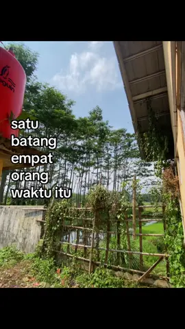 #smpstory🌻 #spenkar80story#fyp #fypage 
