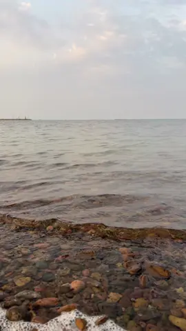 😅#جداوي #شعر #fyp #foryou #موج 