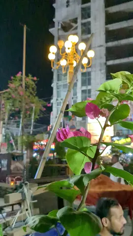 🍂🌸 #fypppppppppppppppppppppp #viralvideo #rajshahicity #bdtiktokofficial🇧🇩 #reelsvideo 