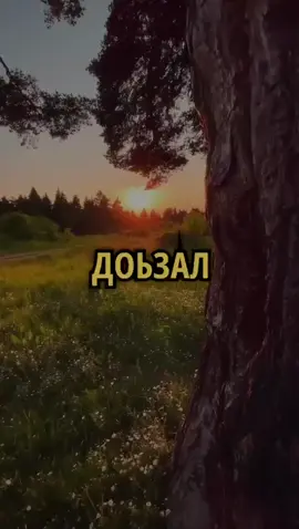 #🕋🕋🤲🤲🕌🕌🌴🌴 #хьехамш❤ #хьехам #хьехам #хьехам #🕋🕋🤲🤲☝️☝️☝️🕌🕌🕋 #хьехам #хьехамш❤ #хьехамаш #хьехамаш☝🏻 #хьехамаш♥️📌 #хьехамш❤ #хьехамладог1а #хьехамаш95 #хьехамладог1а #heham__95 #хьехамаш #хехам❤️❤️ #🕋🕋🤲🤲🕌🕌🌴🌴 