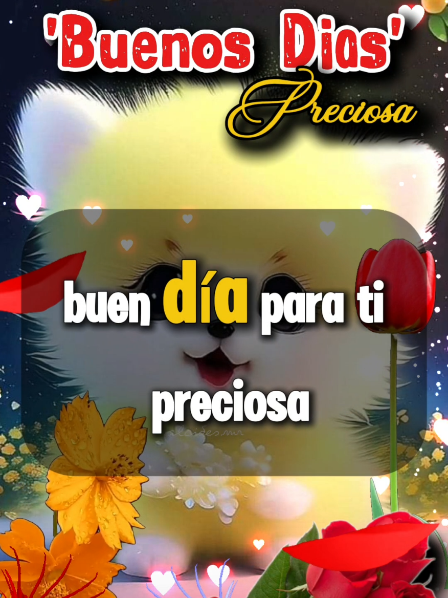 Buenos Dias Preciosa 💖  #parati #amor #saludos #buenosdias #mensajedeamor 
