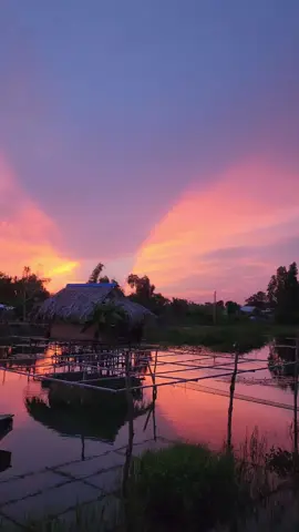 Buổi chiều nơi quê nhà. #chieuque #chieuquemientay #binhyen#yeuque 