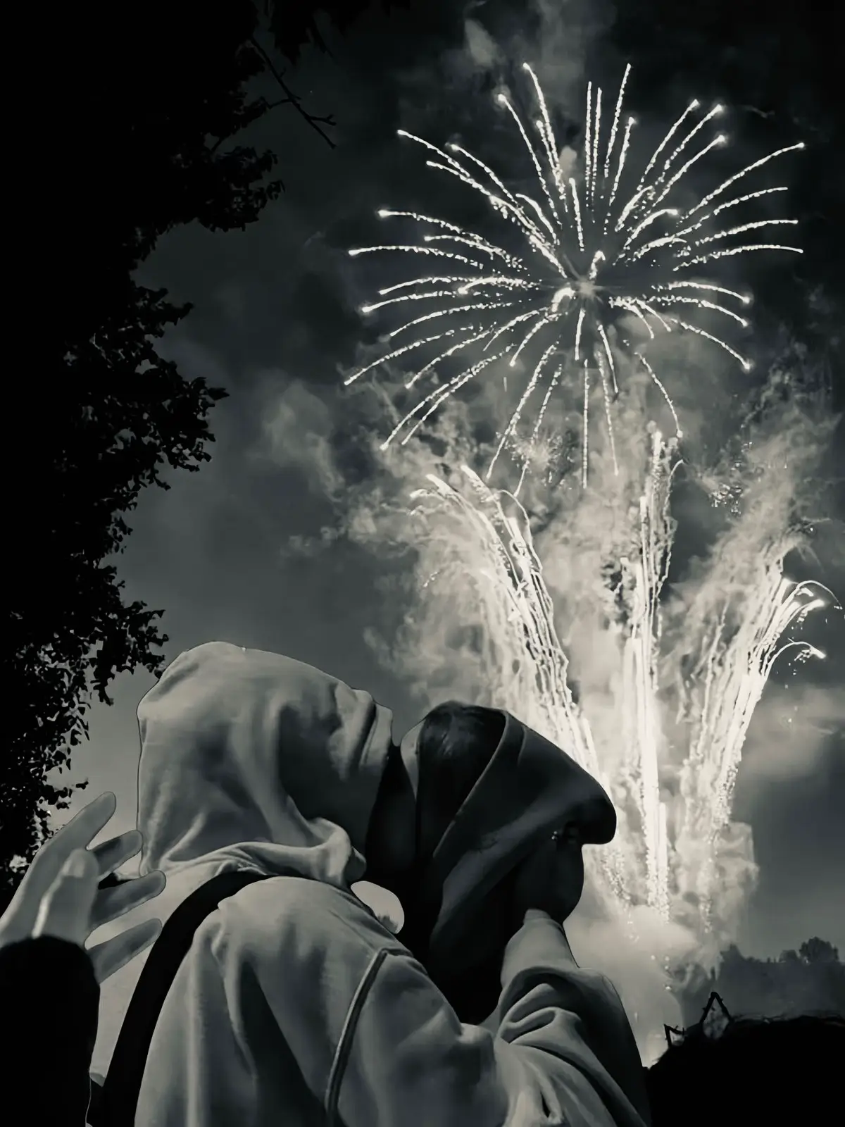 你和我站在绚烂的烟花之下， 五彩的光辉映照着我们幸福的笑颜， 仿佛整个世界都在倾听这段爱情故事。 每一道光芒划过，都是一份约定； 每一朵在空中盛放的烟花，都是一首情歌。 这一刻，不仅美在眼前， 更深深镌刻在我们心中，成为永恒的回忆。