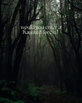 Many fear the forest because of the unknown.  I fear it sometimes becomes of the Known.  Anyone been in a woods that felt like it had secrets? #forestwitch #witchtok #witchyvibes #forestcore #witchesoftiktok 