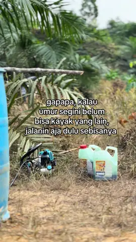 draf.                                                      #sawit 