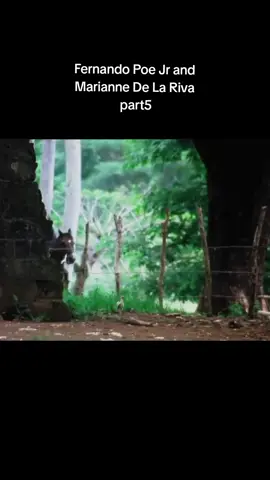 PEPENG KALIWETE  part5 #pinoytagalogmovies #tagalogmovieclips #actionmoviescene #fpj #fernandopoejr 