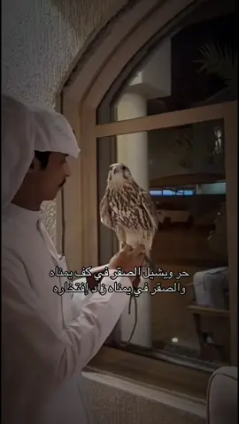 #حسين_العتيبي #حسين_العتيبي🤍 #اغوى_كويتيين🇰🇼 #اكسبلور #explore #fypシ #اكسبلورexplore 