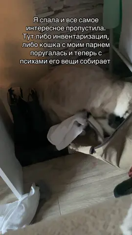 Как думаете, стоит ли вмешиваться?