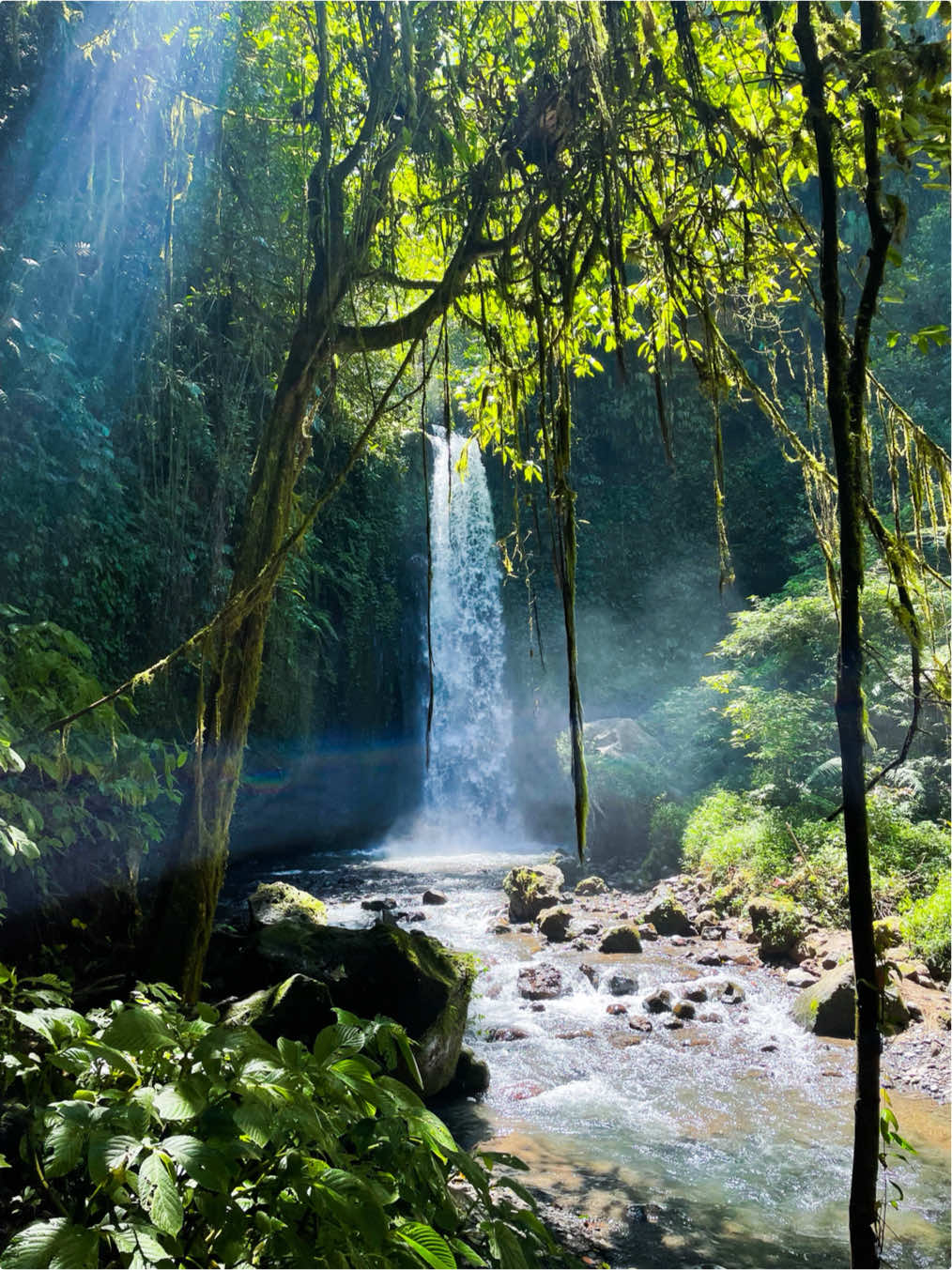 Salah satu air terjun tercantik di lombok timur🦦👣 #fyp #lombok #lombokvirall🌴🌴 #viral 