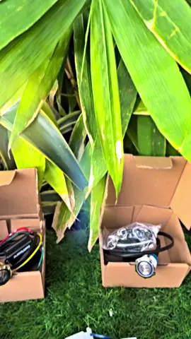 Rediy#kunciremotfyp #cbindonesia #fyp2025 