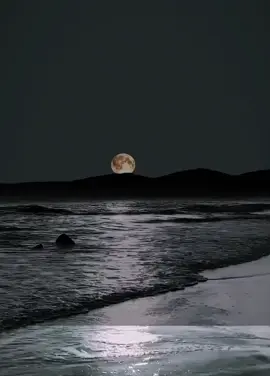 #مصطفى_حسنى 