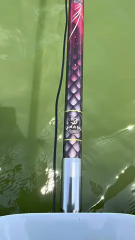 Anh em thấy quả báo cá của em uy tín chưa ạ ? 