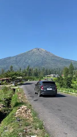 Kapan terakhir kalian lewat jalan ini 😍  #temanggung #wonosobo #candirototemanggung #dieng #fyp 