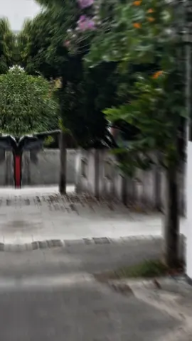 Singam 💪🏻⚡️#vipsquad🇱🇰 #flypシ #viral #kdh #drugner 