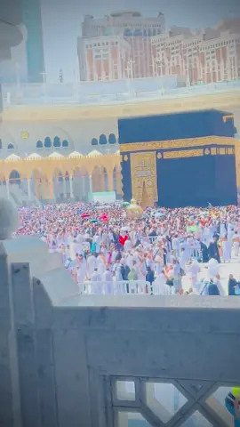 #viral #video #mr_ahmii007 #foryou #foryoupage 