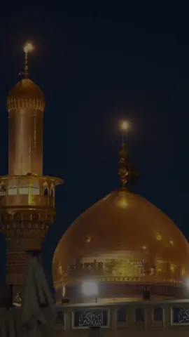 @Ahmer Zaidi #yaali #ahlulbayt #yaalimadad #imammusakazima_as #alimola 
