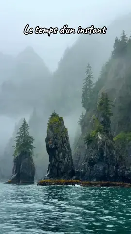 L’âme se soigne là où la nature respire librement#nature #serenite #apaisant #calme #zen 
