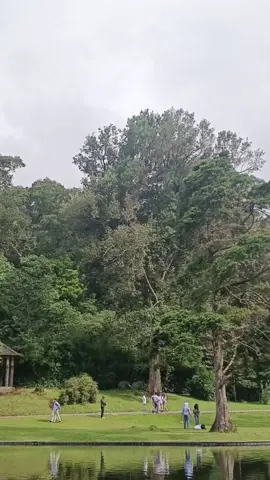 Di bumi tidak ada surga, tetapi ada potongan-potongannya 🌲 #fyppppppppppppppppppppppp 