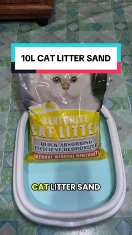 10 Liters Bentonite Cat Litter Sand 🐱  #catlitter #catlittersand #bentonitecatlitter #fyp #foryoupage 