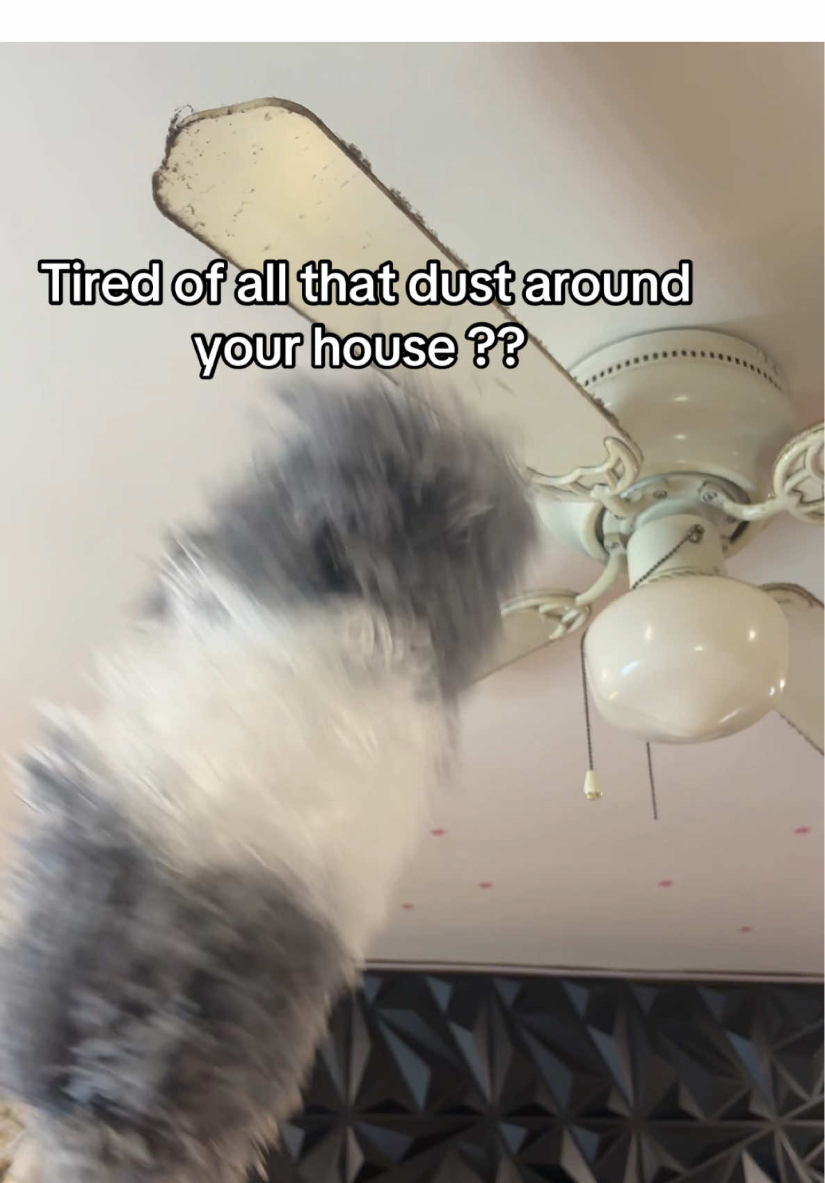 omg 😱 #duster #dust #clean #CleanTok 