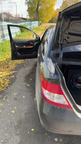 Сабвуфер Урал ТТ 12 #автозвук