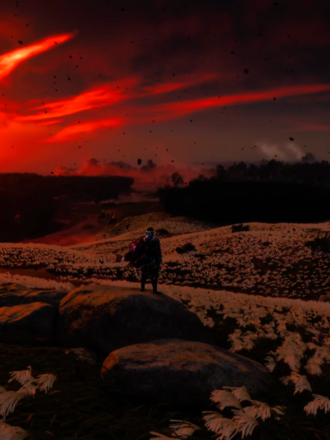 This photo mode is the goat #ghostoftsushima #jinsakai #gameplay #paisajes #landscapes 