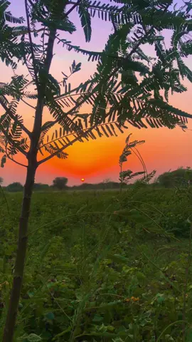 My village ❤️‍🩹🌹🫶