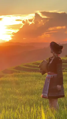 Lưng đèo sương phủ mờ xa,em đi chợ sớm áo hoa rực hồng#thaohoaban #ynoongdienbien #ruongbacthang #ruongbacthangpunhi #canhdepthiennhien 