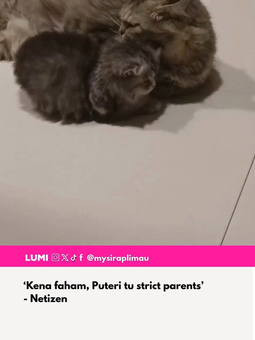 Taknak bagi anak dia gerak pi mana-mana sampai macam tu sekali dia tahan ekk  Kredit: @mohdnurmohdarif