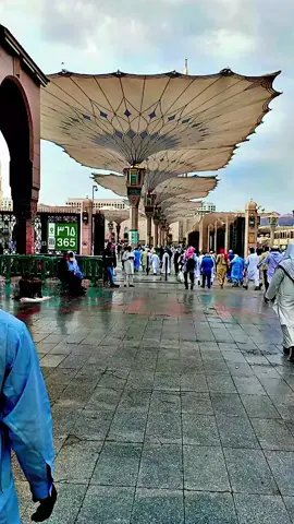 #madinahalmunawaroh #haramsharif #❤️❤️❤️❤️ #foryou 