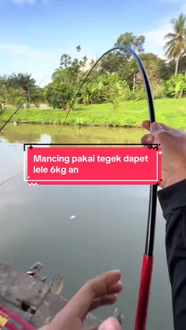 Kalian kalau mancing pakai tegek biasanya mancing ikan apa? @Paradise Fishing Official @nurjanah  #tegekparadiseII 