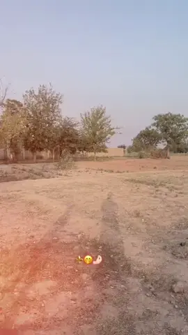 #for #you #viralvideo #afridyan❤️❤️✌️ #@Aziz King☆👑 @🦋𝐙𝐀𝐊𝐈𝐑❤️𝐉𝐀𝐍🐬🐬 @😘🇶🇦Jawad king 👑🇶🇦 @🌸Salman.Bawoo.1🌸 @dilawar khan 💔 