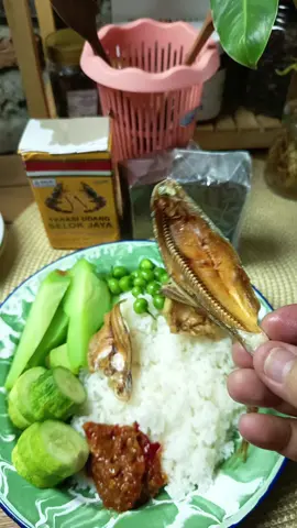 #ikanasin #ikanasinbulumentok 