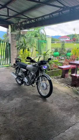 i'm back😫#stock #fyp #fyppppppppppppppppppppppp 