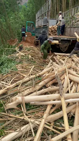 Đội quân mạnh 10 người 1 ngày 16 ký