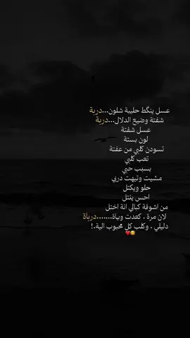 دليلي 
