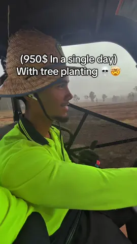 Why is nobody talking about this job??  #workandtravel #australien #DayInMyLife #viral #fifo @Piet @Henri 