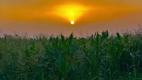 #تصويري_احترافي_الاجواء👌🏻🕊😴 #مصمم_فيديوهات🎬🎵 #طششونيي🔫🥺😹💞 