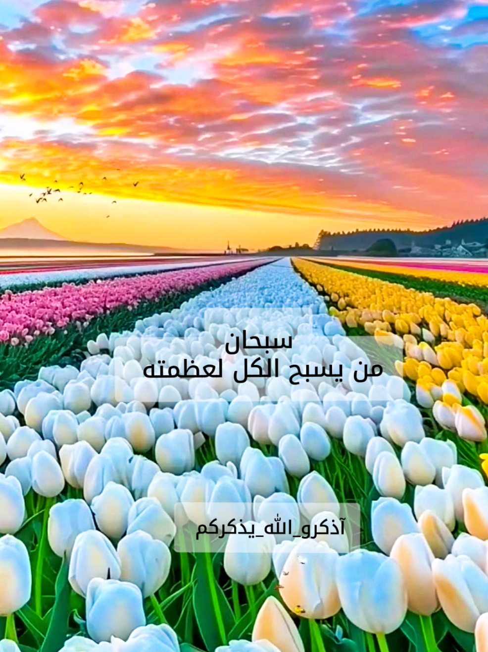 سبحان من يسبح الكل لعظمته #سبحان_الله_وبحمده_سبحان_الله_العظيم #دعاء_يريح_القلوب #اذكرو_الله_يذكركم #اكسبلور #تيك_توك_الصعفاني 