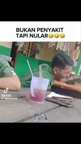 nular bgt ketawanya🤣  sc: @macan1anak  #videolucu #humortiktok #fyp #foryoupage #recehbrutal  