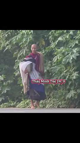 Thầy Minh Tuệ 24/9 #minhtue #thayminhtue #thichminhtue #thayminhtuemoinhat #hanhtrinhvemiendatphat 