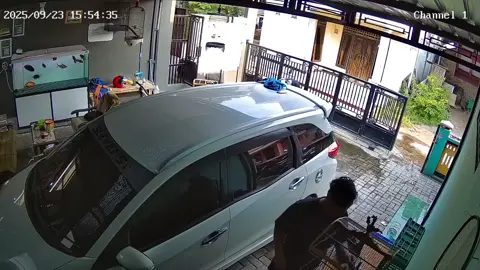 Umr kota surabaya hampir hilang kak  #jombang24jam #kicaumania #cendetmaniaindonesia #kicaumaniaindonesia 