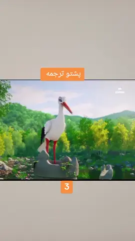 پشتو ترجمه #موپاسا 