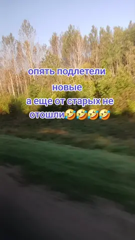 🤣🤣🤣🤣🤣🤣