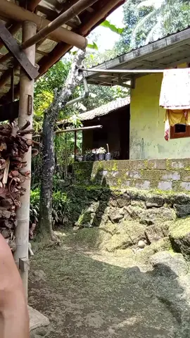 #fyppppppppppppppppppp #gym